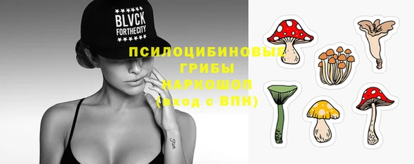 прущая мука Баксан