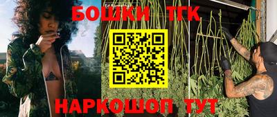 крисы Моздок