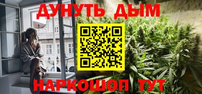 крисы Моздок
