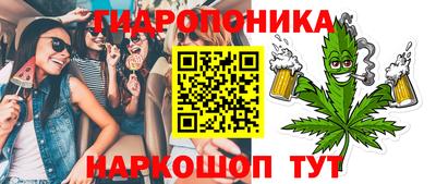apvp Можга