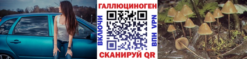Псилоцибиновые грибы мицелий  купить   Губаха 