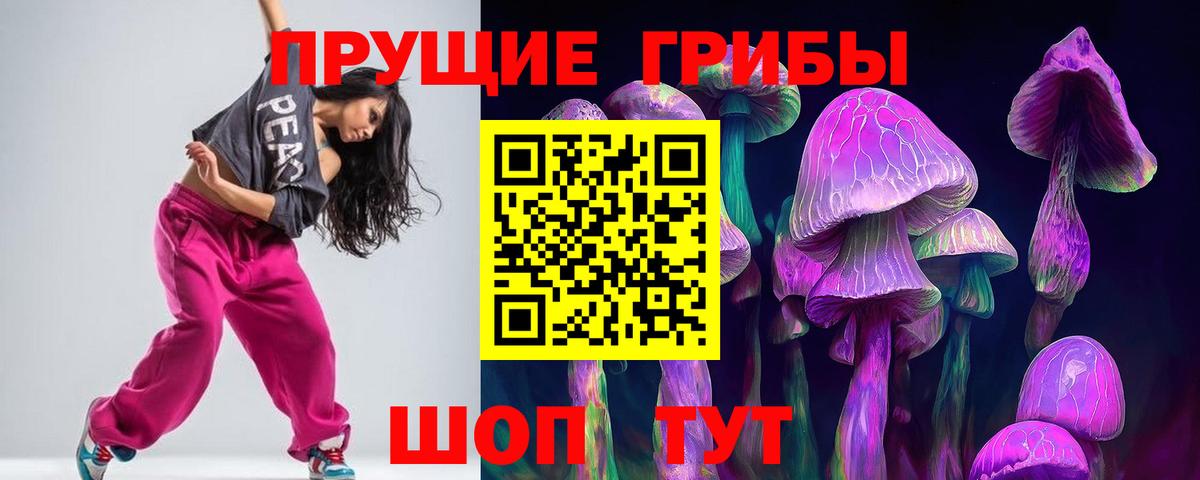 Псилоцибиновые грибы Cubensis Губаха