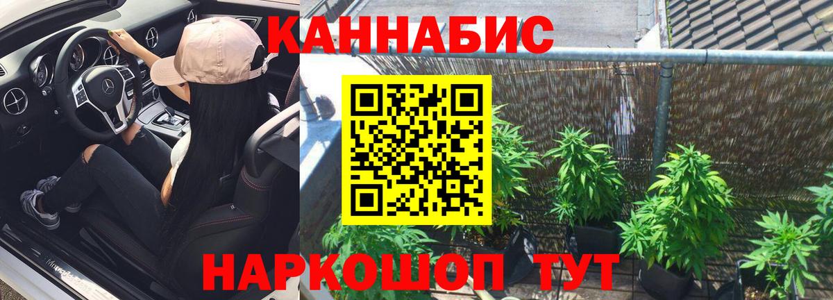 Канабис SATIVA & INDICA Губаха